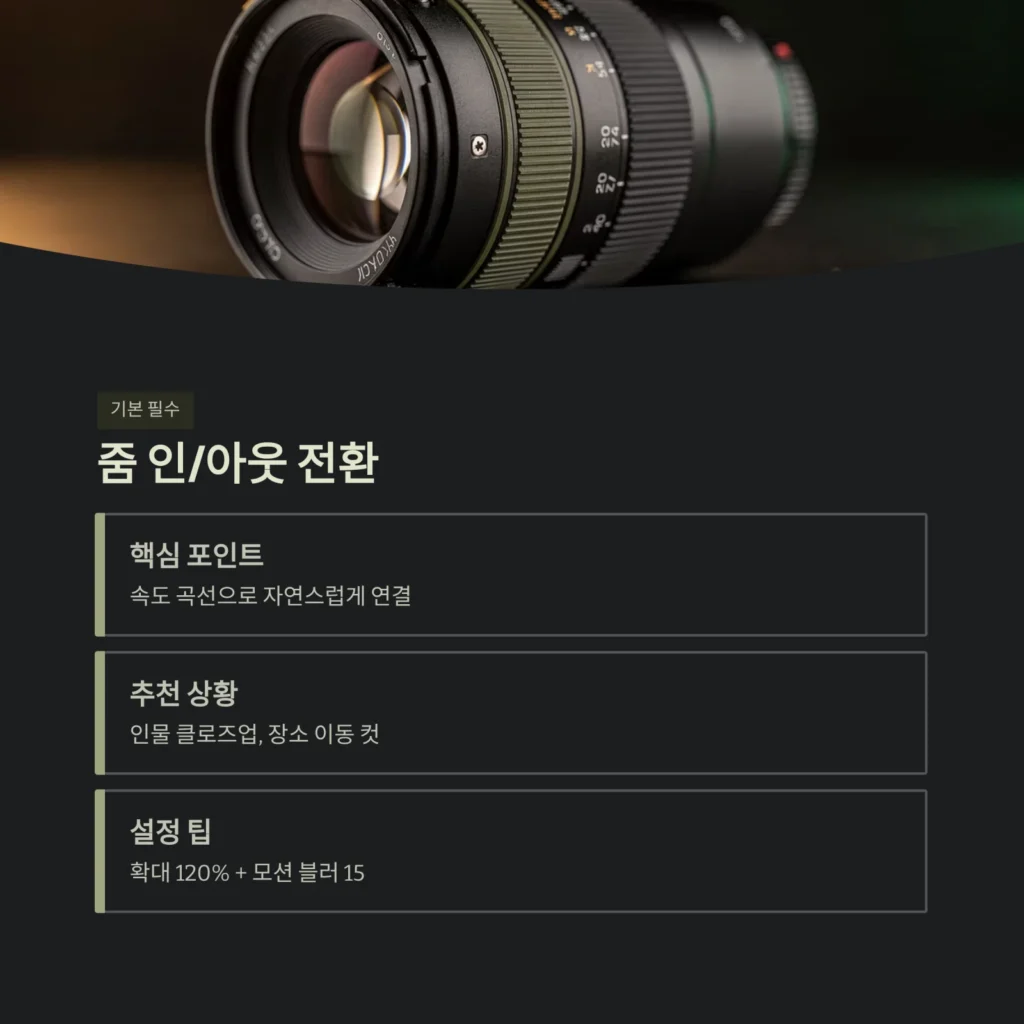 줌 인/아웃 전환 줌 인/아웃 전환