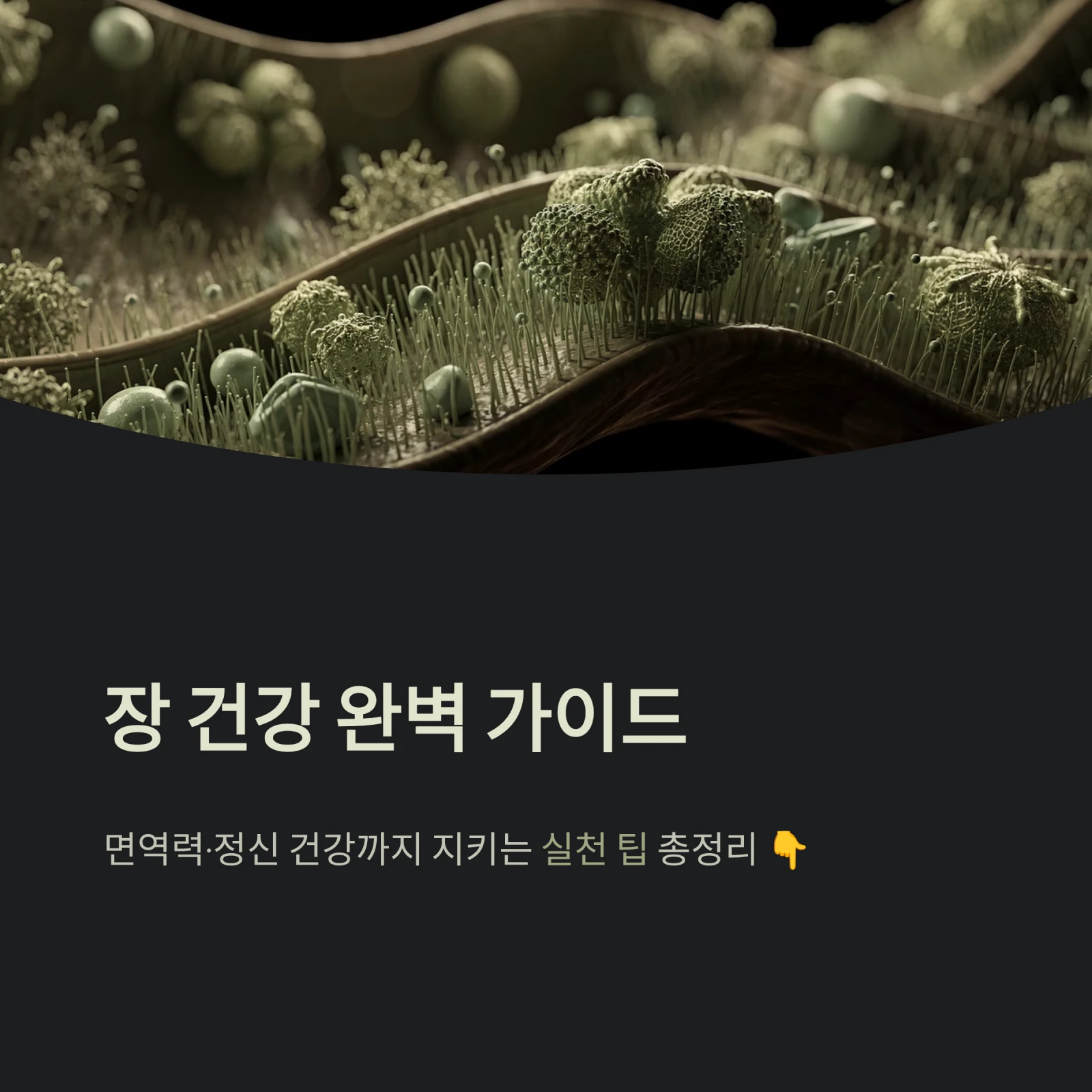 장 건강 완벽 가이드