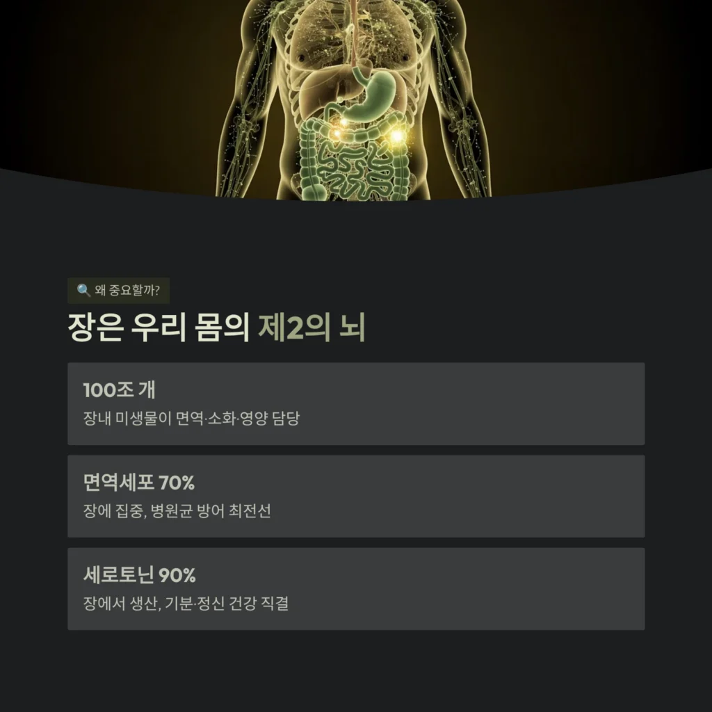 장 건강 필수 가이드: 면역력, 정신 건강 지키는 실천 팁 2 장은 우리 몸의 제2의 뇌