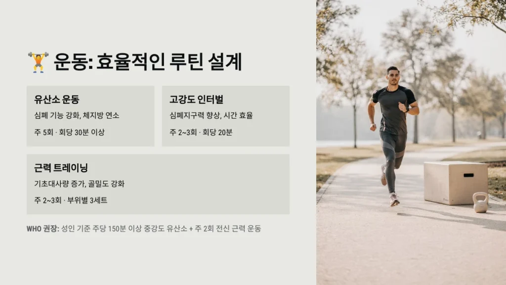 운동: 효율적인 루틴 설계