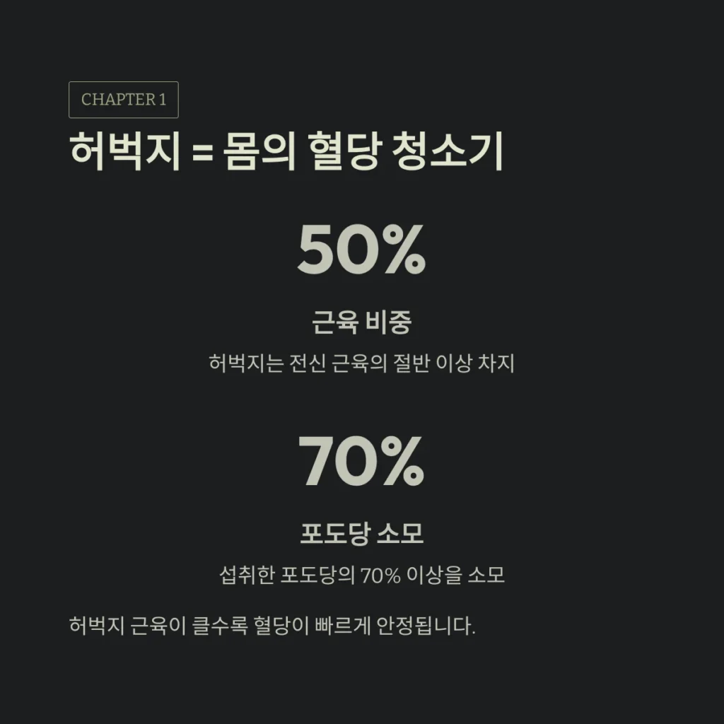 집에서 하는 10분 하체 근력 운동 허벅지 = 몸의 혈당 청소기