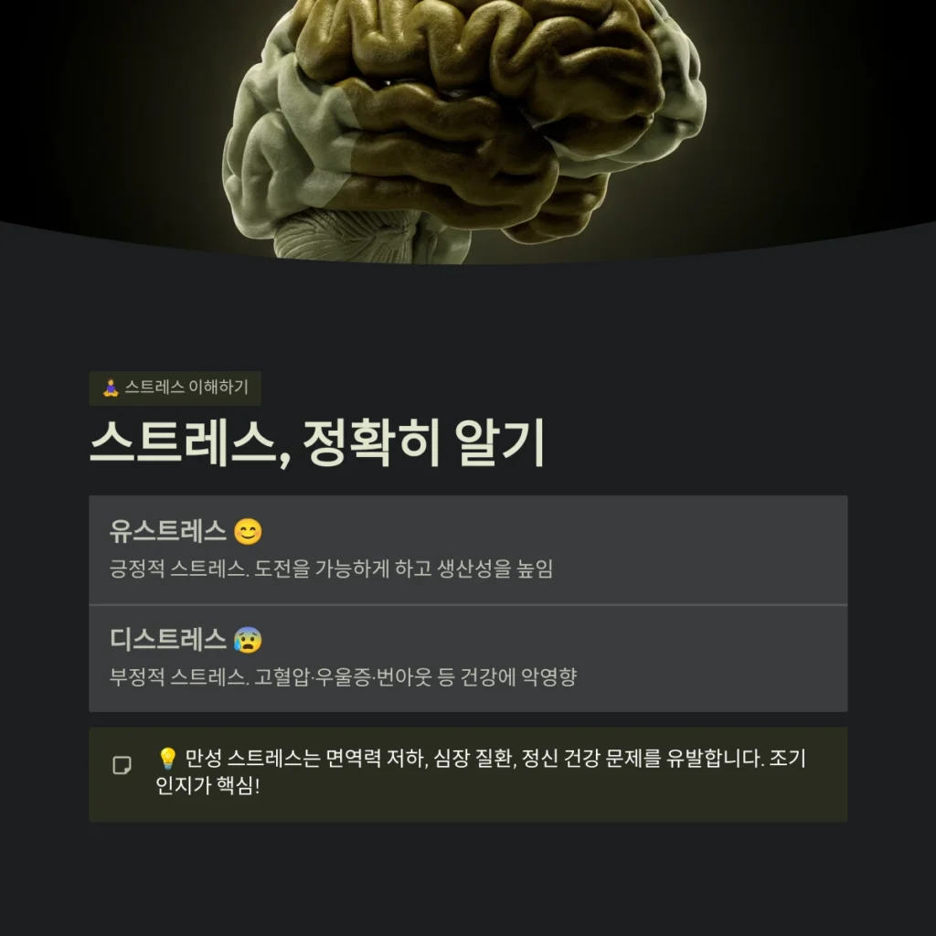 효과적인 스트레스 관리 방법, 지금 바로 시작하세요! 2 스트레스, 정확히 알기