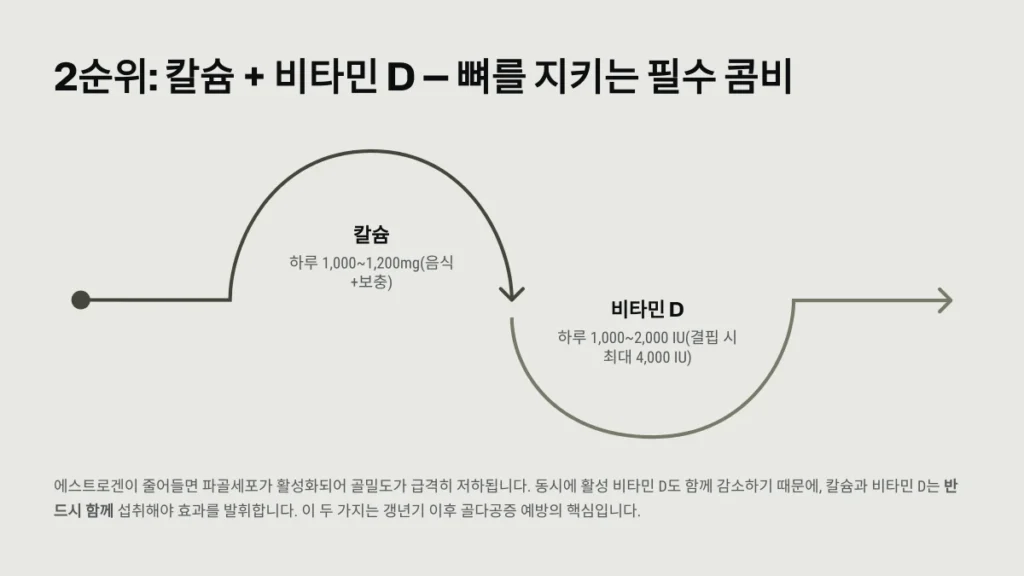 칼슘 + 비타민 D — 뼈를 지키는 필수 콤비