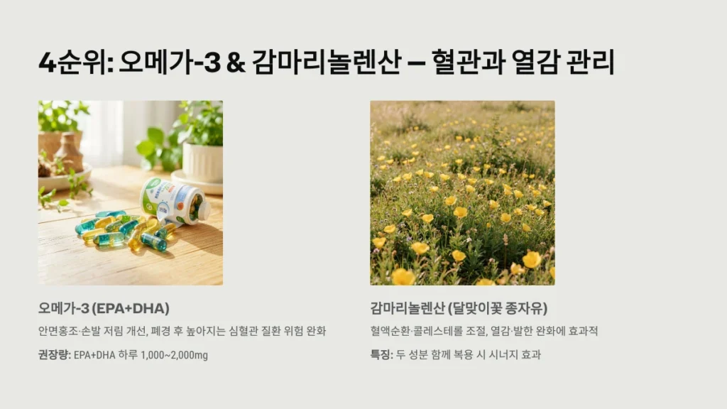 오메가-3 & 감마리놀렌산 — 혈관과 열감 관리