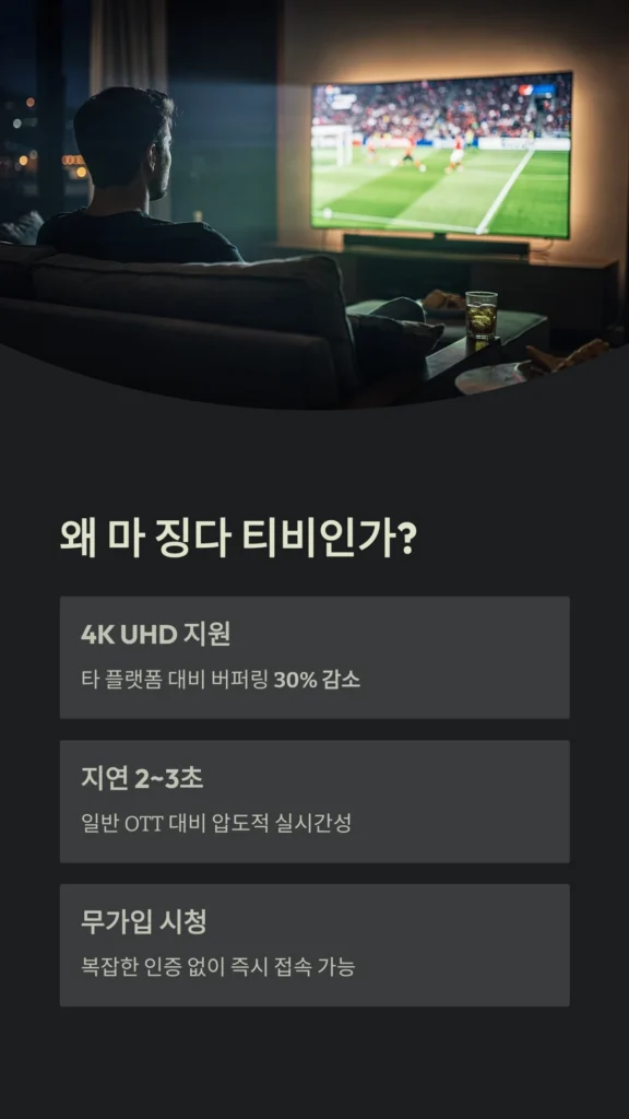 왜 마 징다 티비인가?