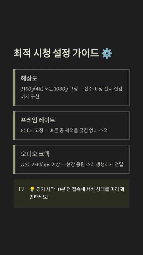 마 징다 티비 최적 시청 설정 가이드
