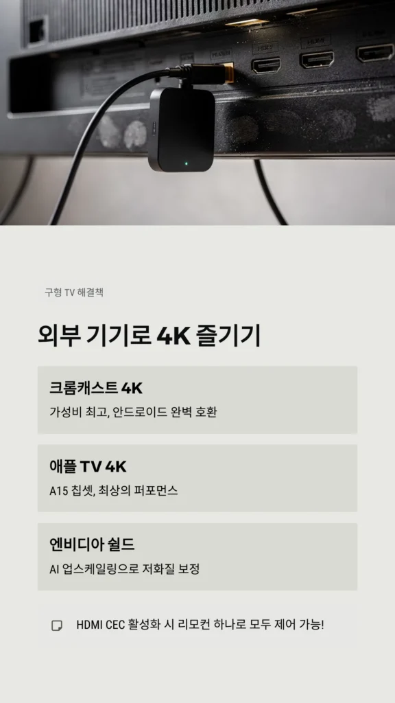 외부 기기로 4K 즐기기