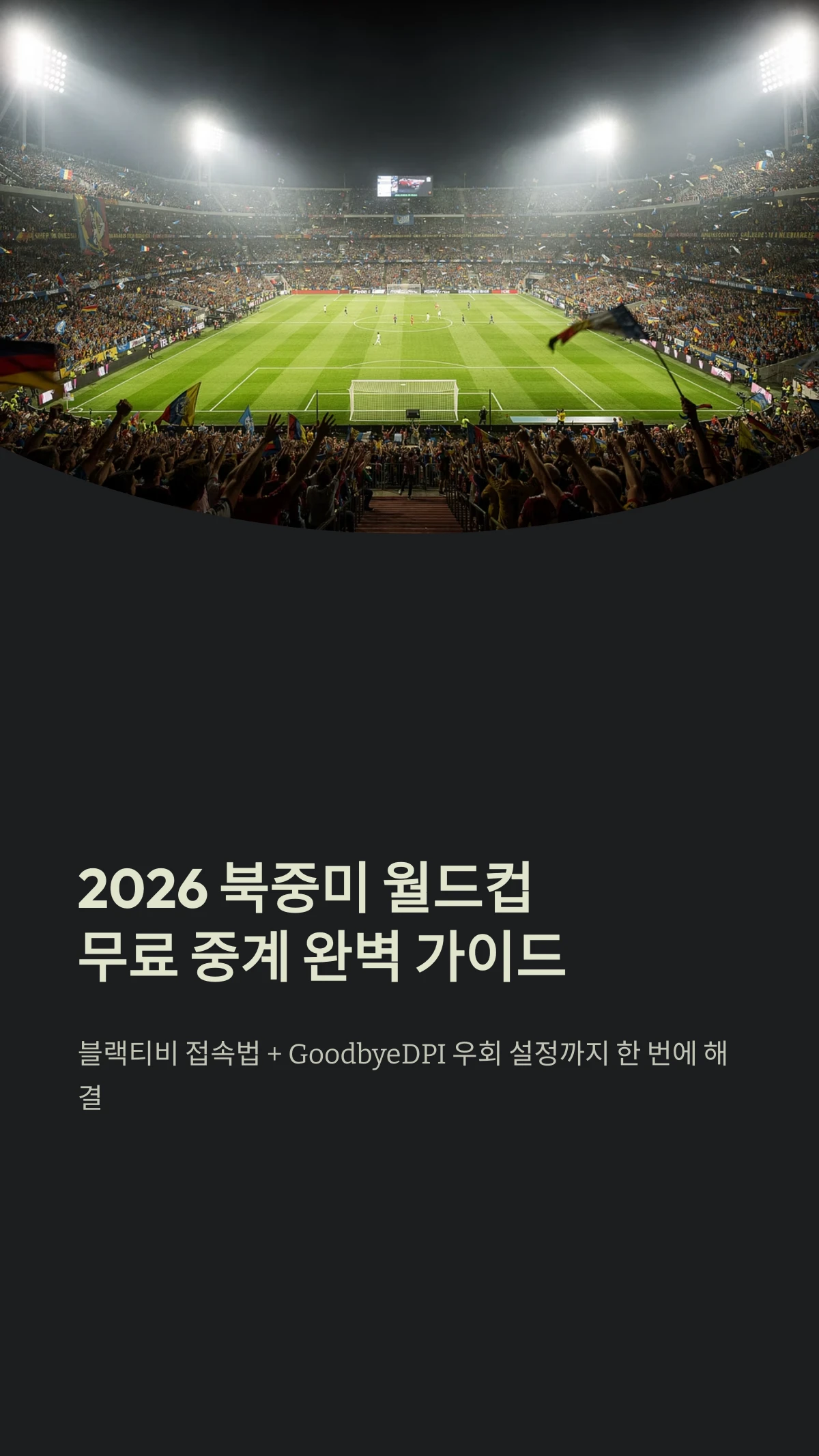 2026 북중미 월드컵 무료 중계: 블랙티비 최신 주소 및 GoodbyeDPI 우회법 완벽 가이드 1 2026 북중미 월드컵무료 중계 완벽 가이드